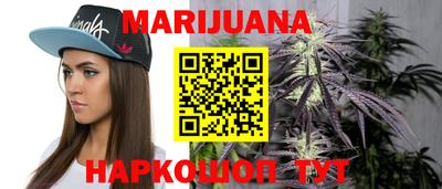 крисы Обь
