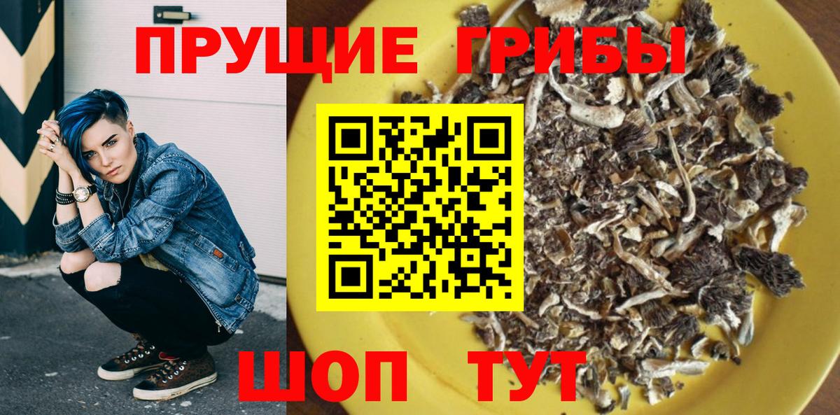 Галлюциногенные грибы прущие грибы  Вход с VPN  Галлюциногенные грибы Psilocybine cubensis  Славгород 